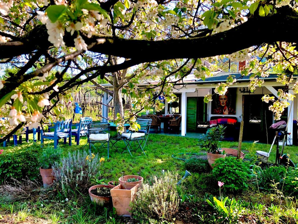Bohemian Eco Lodge At Lake Balaton Kisapati Extérieur photo