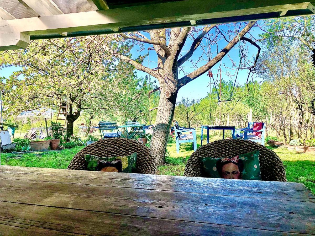 Bohemian Eco Lodge At Lake Balaton Kisapati Extérieur photo